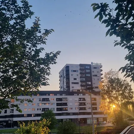 Istar View